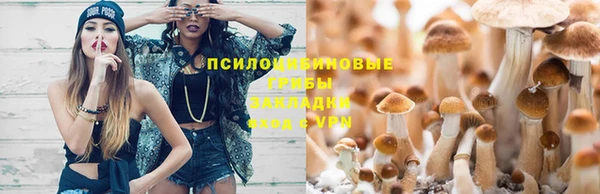 амф Липки