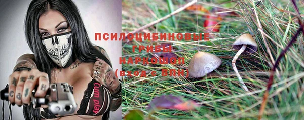 гидра Лиски