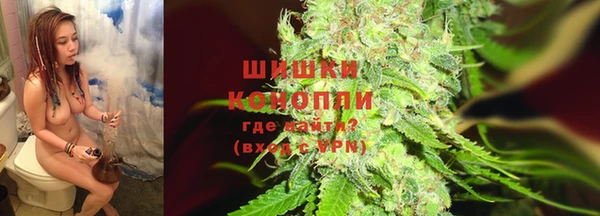 амф Липки