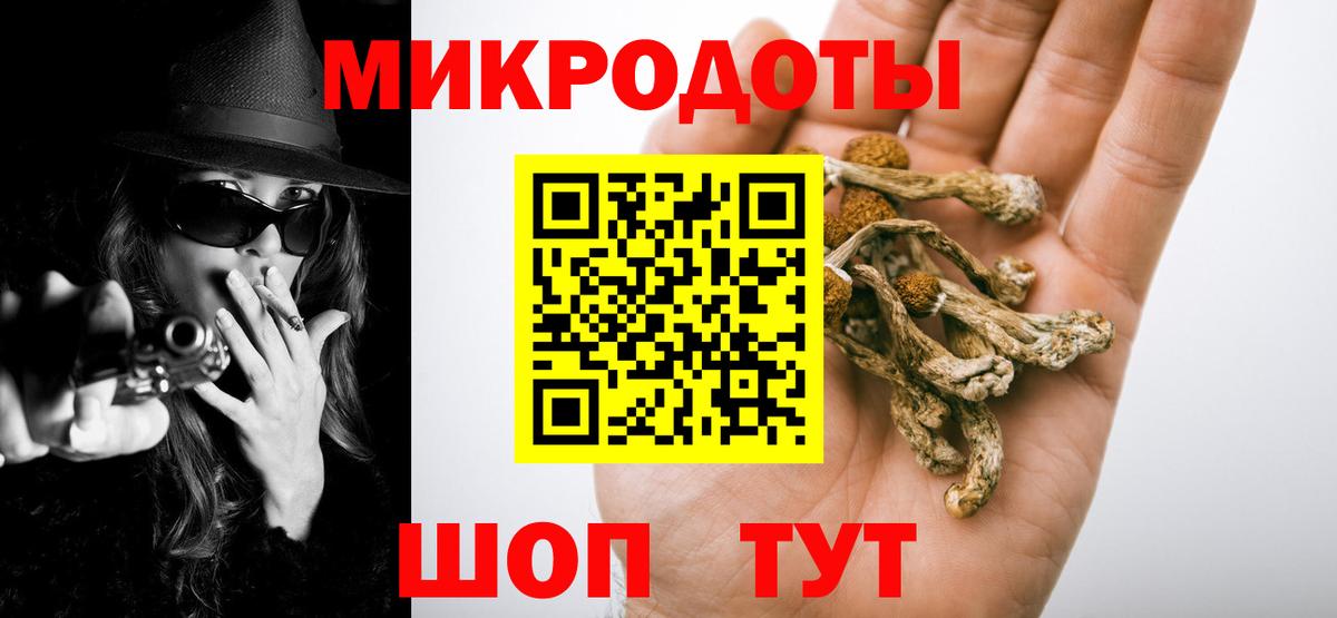 Галлюциногенные грибы Psilocybe Истра